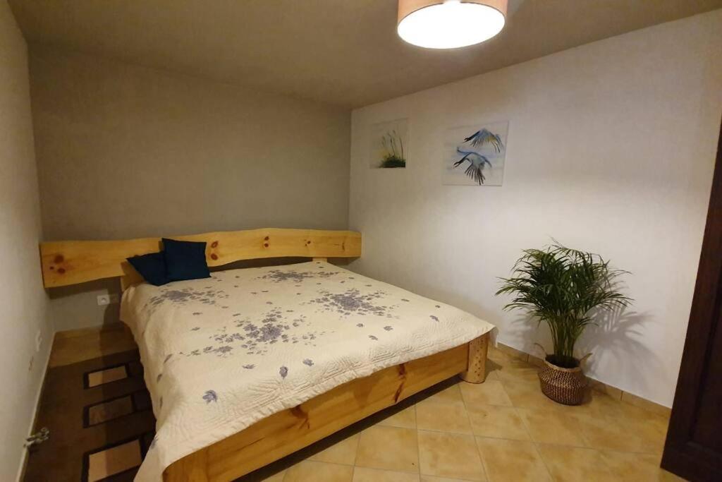 Lejlighed Agroturystka Przy Lesie *
