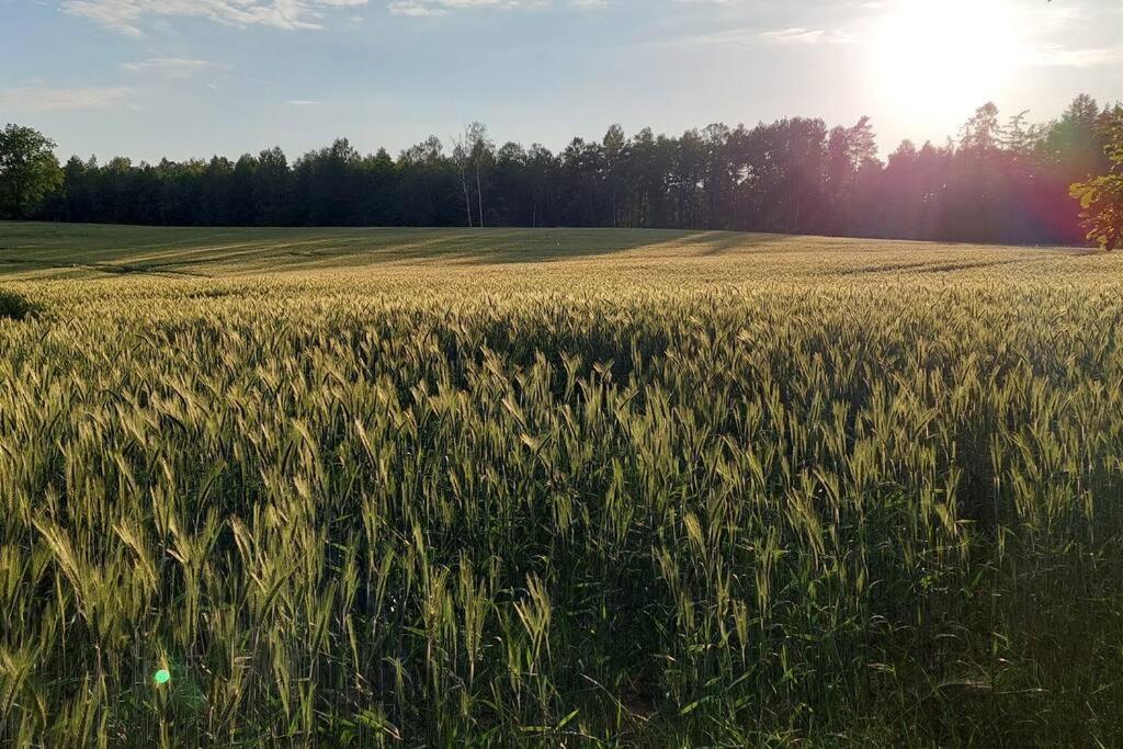 Agroturystka Przy Lesie Lejlighed *